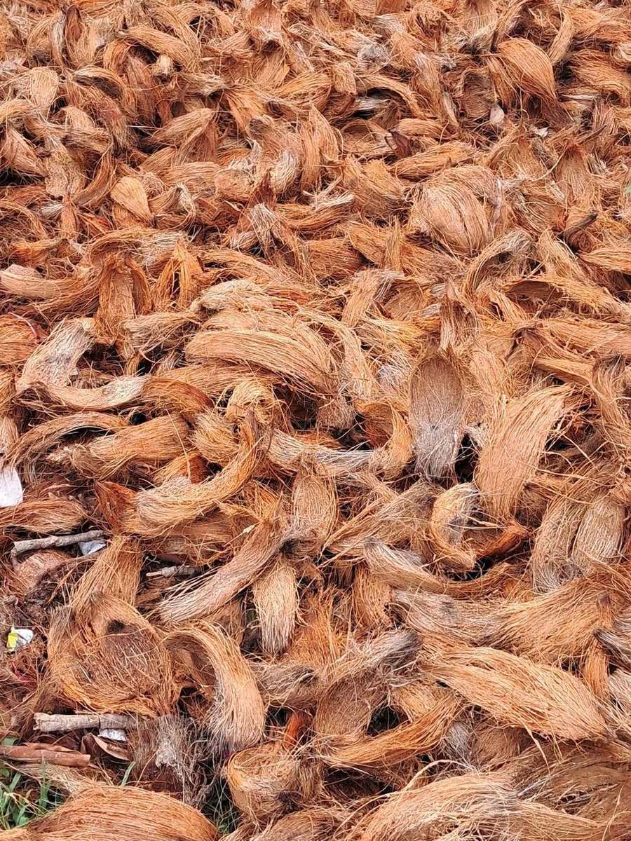 Fibra de coco lavada — substrato limpo de baixa condutividade elétrica